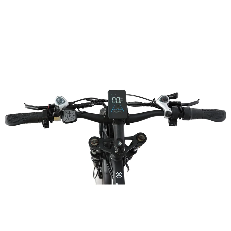 BAOLUJIE DP-2602 26" Fatbike-Elektrofahrrad 2000W Motor 48V 23Ah Batterie