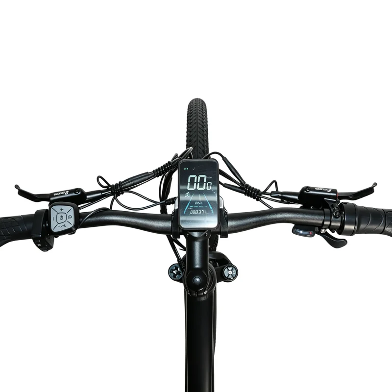 BAOLUJIE BLJ S9 29" Elektrisches Mountainbike 750W Motor 48V 14Ah Batterie