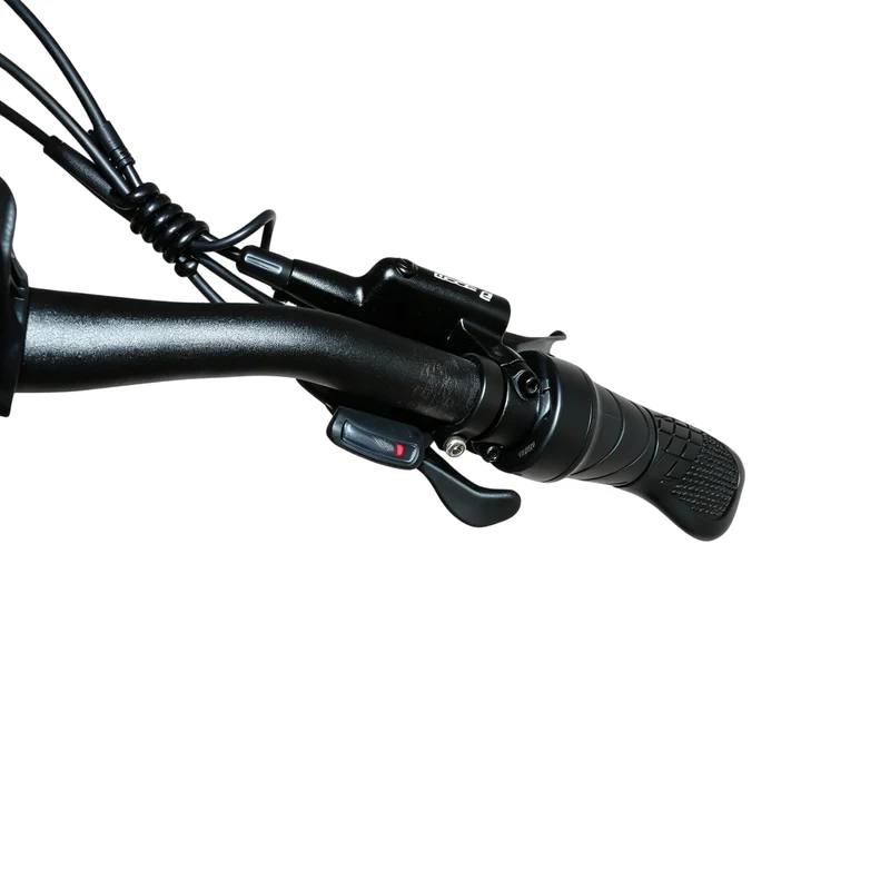 BAOLUJIE BLJ S9 29" Elektrisches Mountainbike 750W Motor 48V 14Ah Batterie