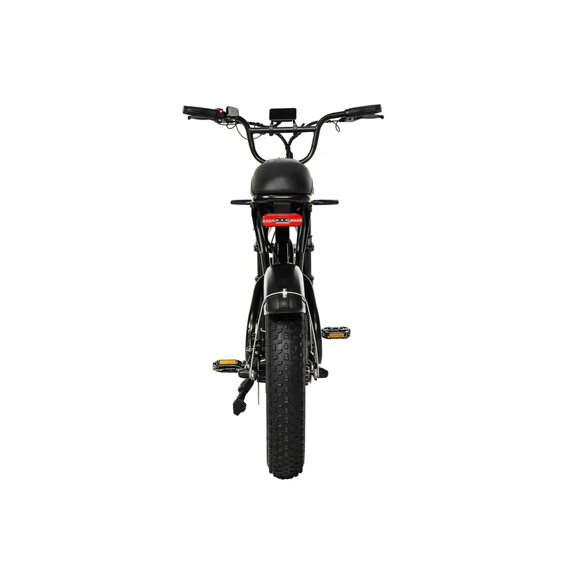 PIXAR SuperV 20" Fatbike 500W Motor 48V 30/15.6Ah Batterie