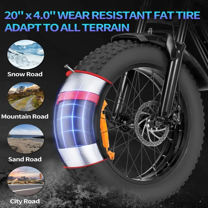 RIDSTAR Q20 Lite 20" Fat Tire Elektrofahrrad 1000W Motor 48V 15Ah Batterie