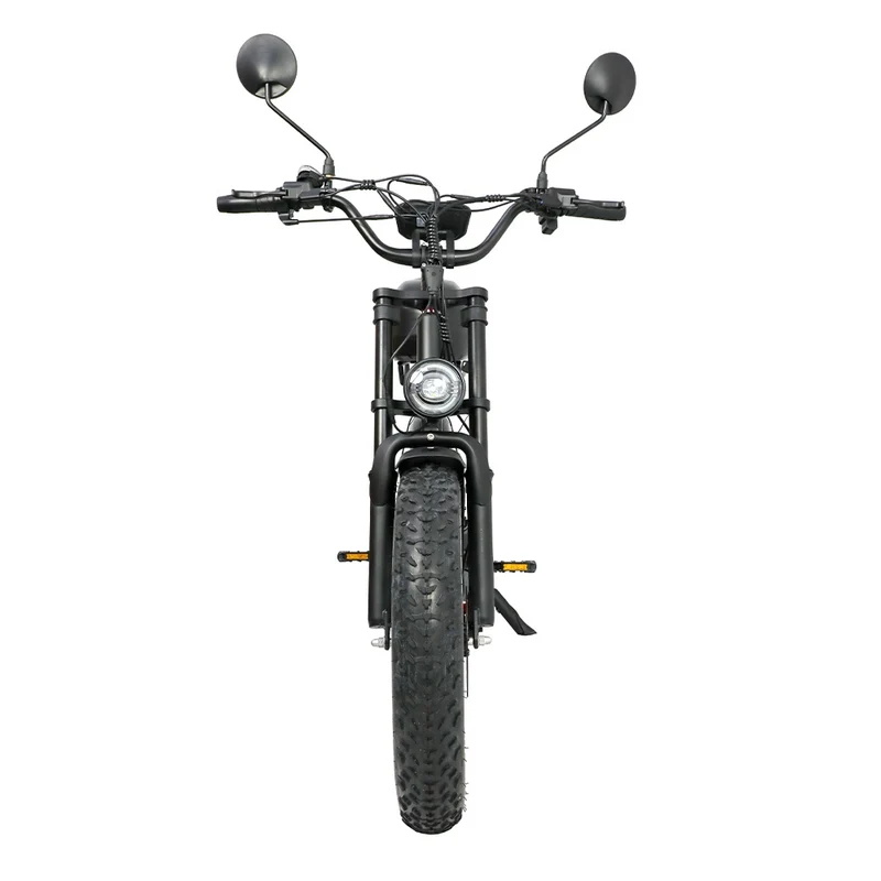 DUOTTS F20 20" Elektro-Mountainbike 750W Motor 52V 27Ah Batterie
