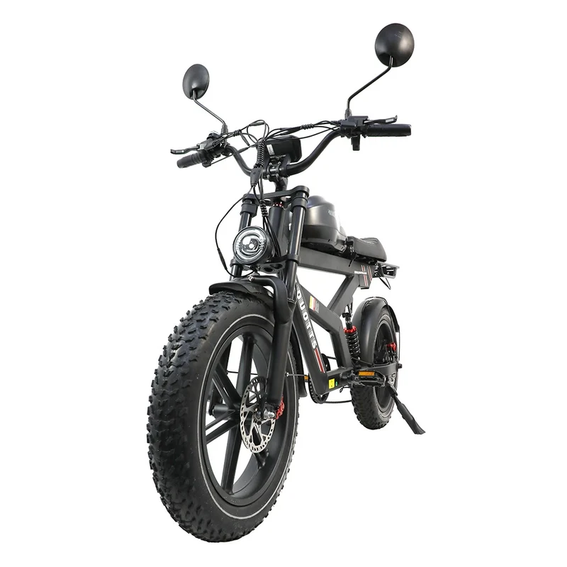 DUOTTS F20 20" Elektro-Mountainbike 750W Motor 52V 27Ah Batterie