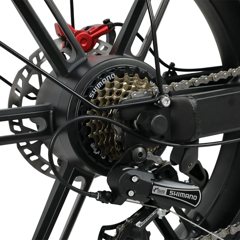 DUOTTS F20 20" Elektro-Mountainbike 750W Motor 52V 27Ah Batterie