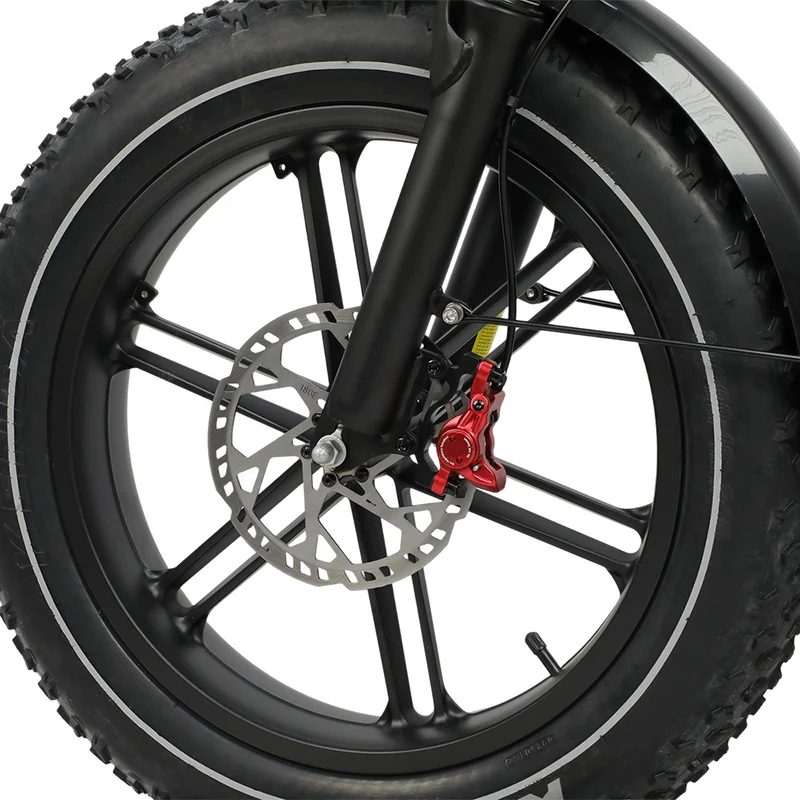 DUOTTS F20 20" Elektro-Mountainbike 750W Motor 52V 27Ah Batterie