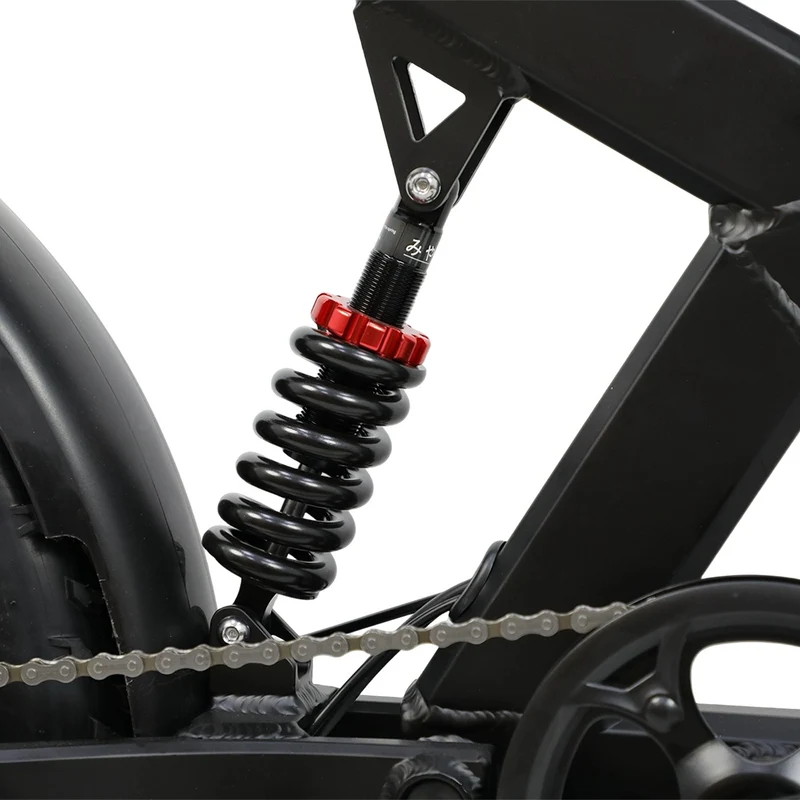 DUOTTS F20 20" Elektro-Mountainbike 750W Motor 52V 27Ah Batterie