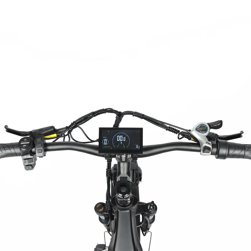 BAOLUJIE P7 2401 24" Tiefeinsteiger-Elektrofahrrad 2000W Motor 48V 20Ah Batterie