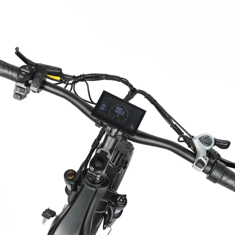 BAOLUJIE P7 2401 24" Tiefeinsteiger-Elektrofahrrad 2000W Motor 48V 20Ah Batterie