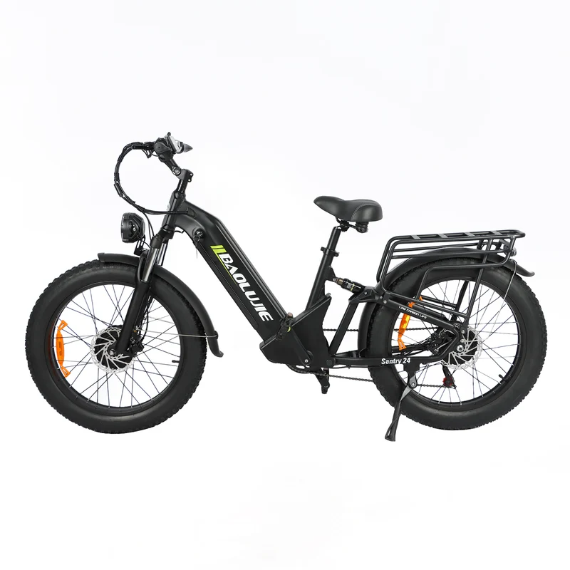 BAOLUJIE P7 2401 24" Tiefeinsteiger-Elektrofahrrad 2000W Motor 48V 20Ah Batterie