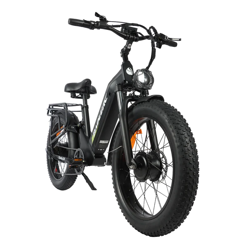 BAOLUJIE P7 2401 24" Tiefeinsteiger-Elektrofahrrad 2000W Motor 48V 20Ah Batterie