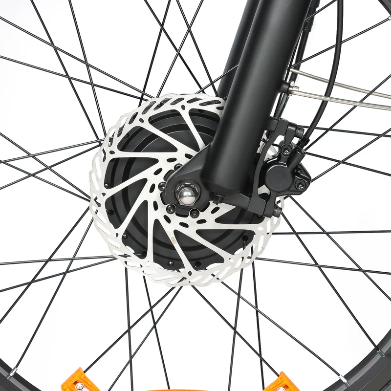 BAOLUJIE P7 2401 24" Tiefeinsteiger-Elektrofahrrad 2000W Motor 48V 20Ah Batterie