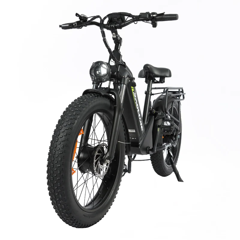 BAOLUJIE P7 2401 24" Tiefeinsteiger-Elektrofahrrad 2000W Motor 48V 20Ah Batterie