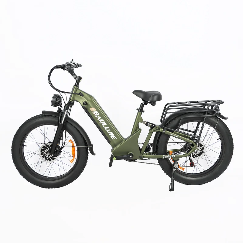 BAOLUJIE P7 2401 24" Tiefeinsteiger-Elektrofahrrad 2000W Motor 48V 20Ah Batterie