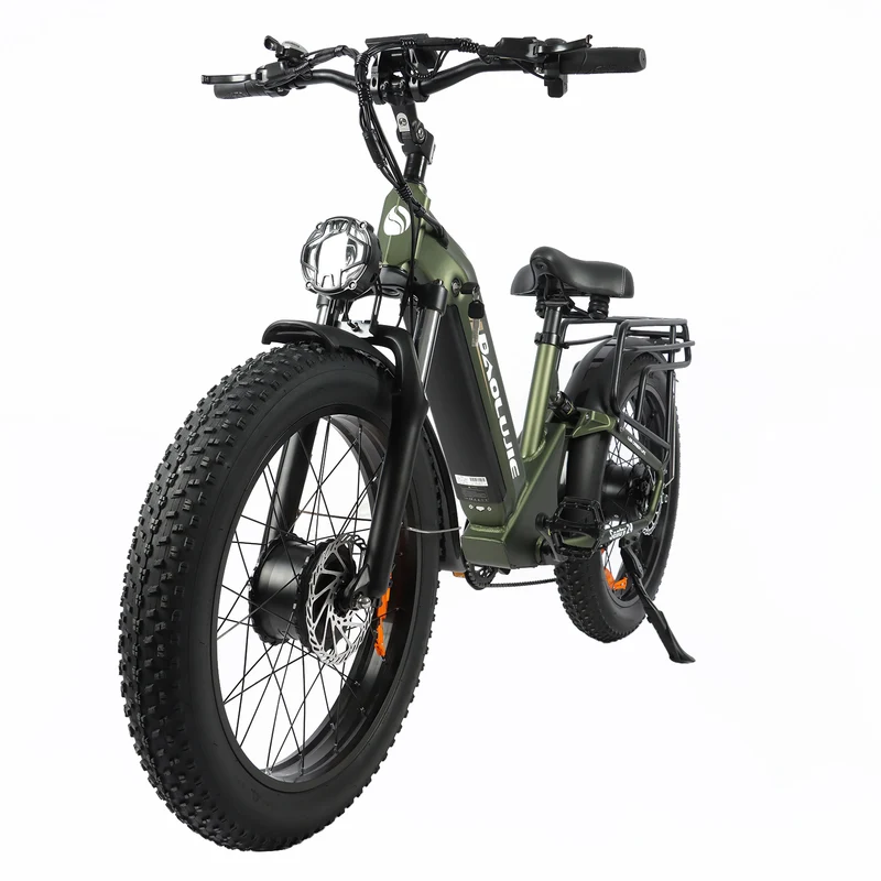 BAOLUJIE P7 2401 24" Tiefeinsteiger-Elektrofahrrad 2000W Motor 48V 20Ah Batterie