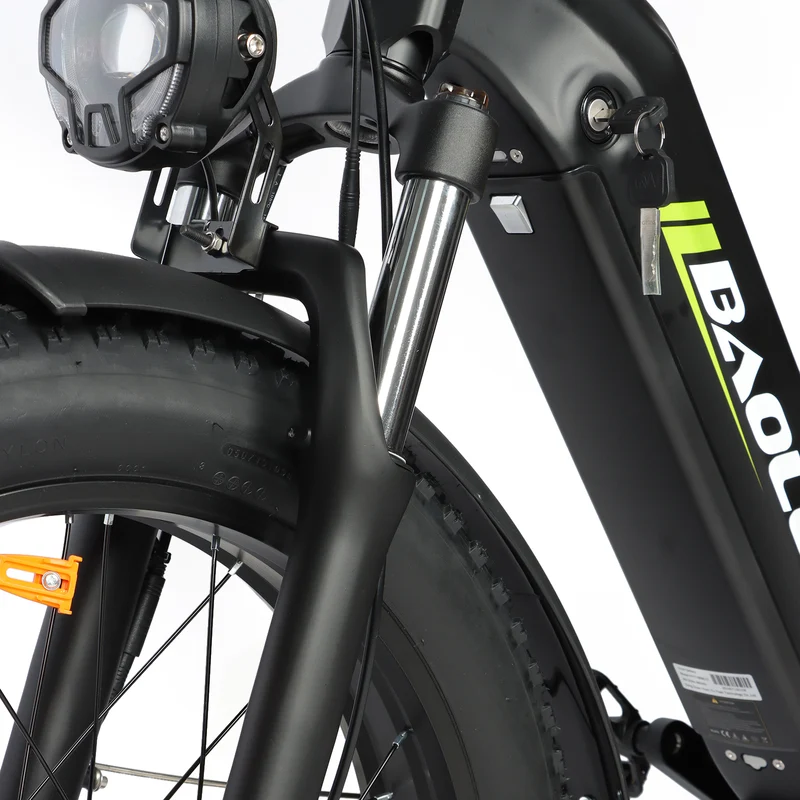 BAOLUJIE P7 2401 24" Tiefeinsteiger-Elektrofahrrad 2000W Motor 48V 20Ah Batterie