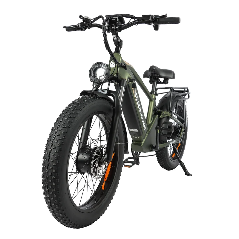 BAOLUJIE P6 2401 24" Elektrisches Mountainbike 2000W Motor 48V 20Ah Batterie