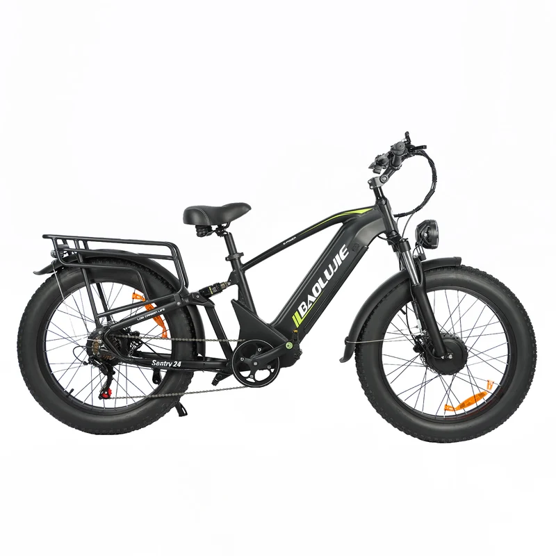 BAOLUJIE P6 2401 24" Elektrisches Mountainbike 2000W Motor 48V 20Ah Batterie