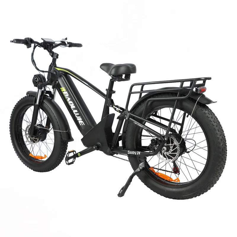 BAOLUJIE P6 2401 24" Elektrisches Mountainbike 2000W Motor 48V 20Ah Batterie