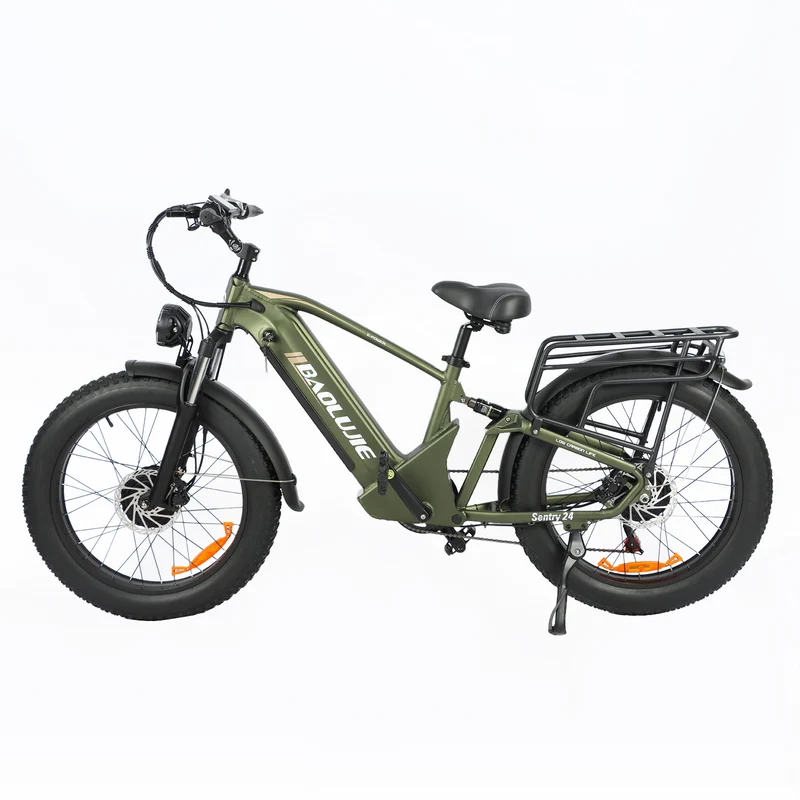 BAOLUJIE P6 2401 24" Elektrisches Mountainbike 2000W Motor 48V 20Ah Batterie