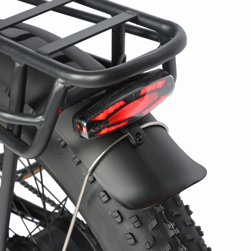 BAOLUJIE P6 2401 24" Elektrisches Mountainbike 2000W Motor 48V 20Ah Batterie