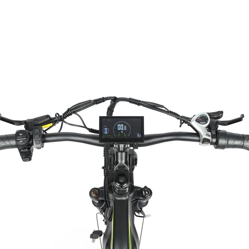 BAOLUJIE P6 2401 24" Elektrisches Mountainbike 2000W Motor 48V 20Ah Batterie