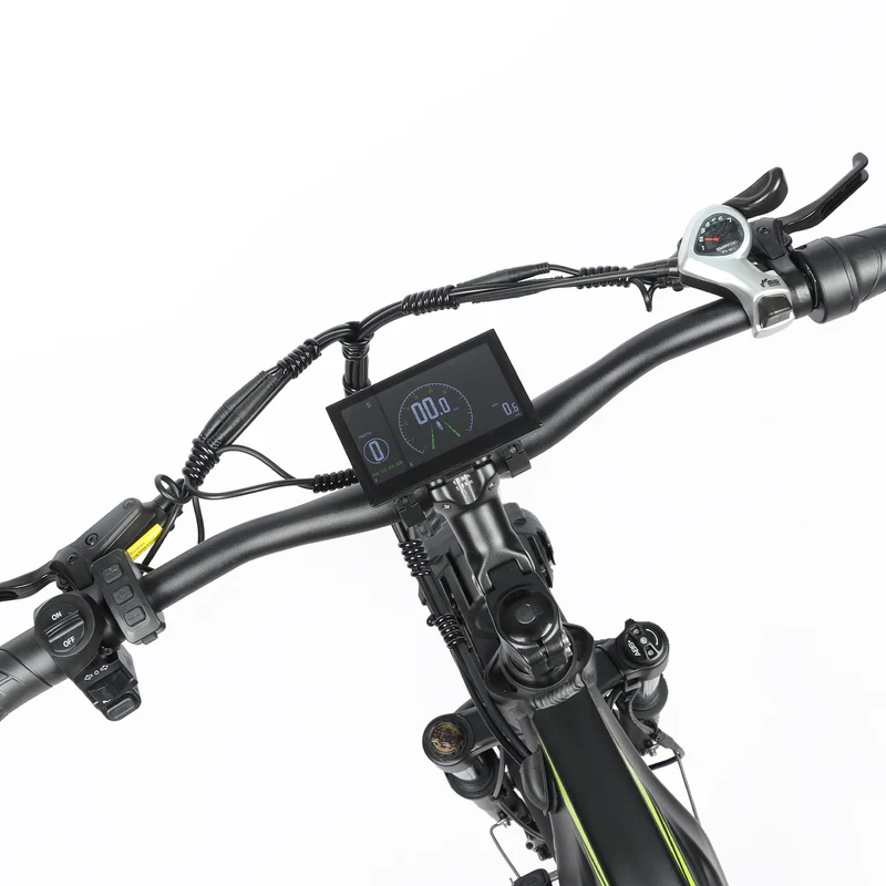 BAOLUJIE P6 2401 24" Elektrisches Mountainbike 2000W Motor 48V 20Ah Batterie