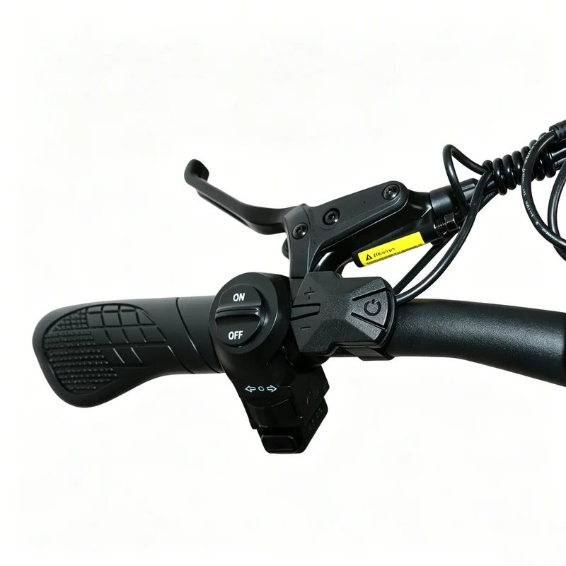 BAOLUJIE P4 DP 2011 24" Elektrisches Mountainbike 2000W Motor 48V 20Ah Batterie