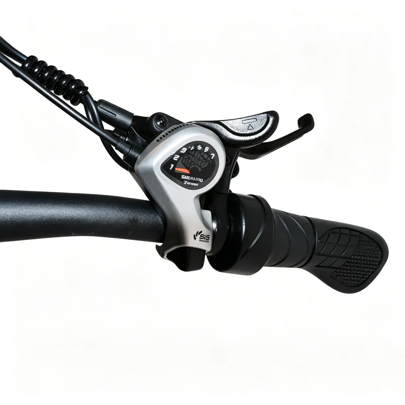 BAOLUJIE P4 DP 2011 24" Elektrisches Mountainbike 2000W Motor 48V 20Ah Batterie