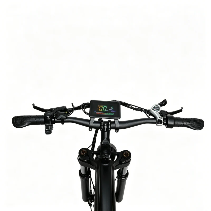 BAOLUJIE P4 DP 2011 24" Elektrisches Mountainbike 2000W Motor 48V 20Ah Batterie
