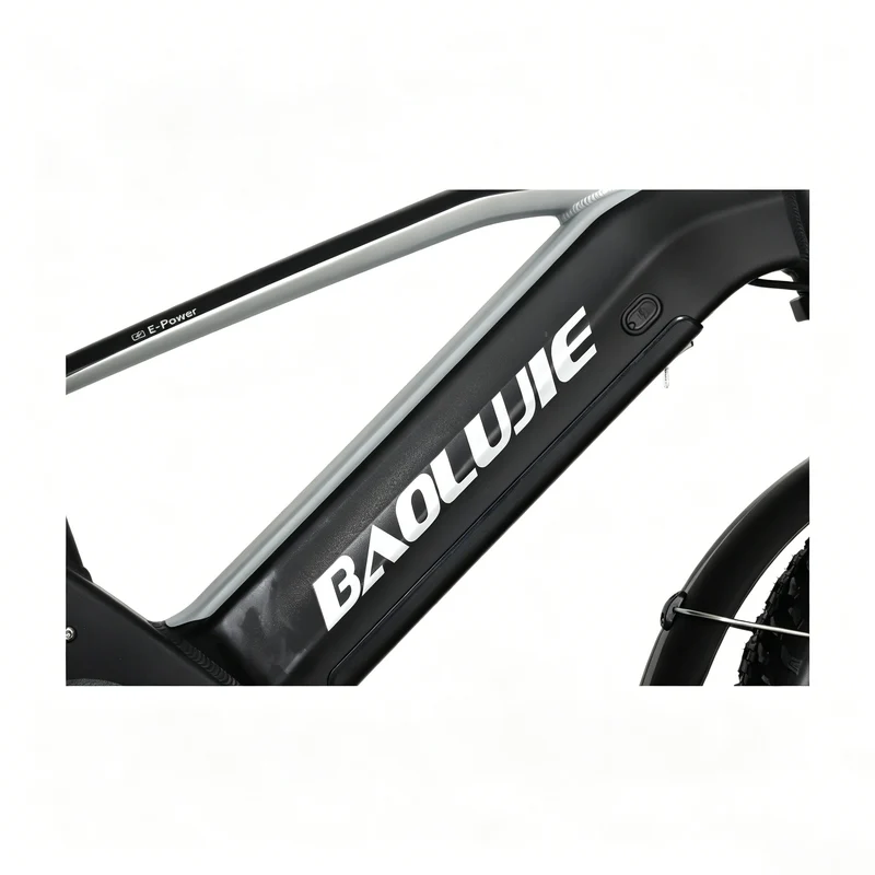 BAOLUJIE P4 DP 2011 24" Elektrisches Mountainbike 2000W Motor 48V 20Ah Batterie