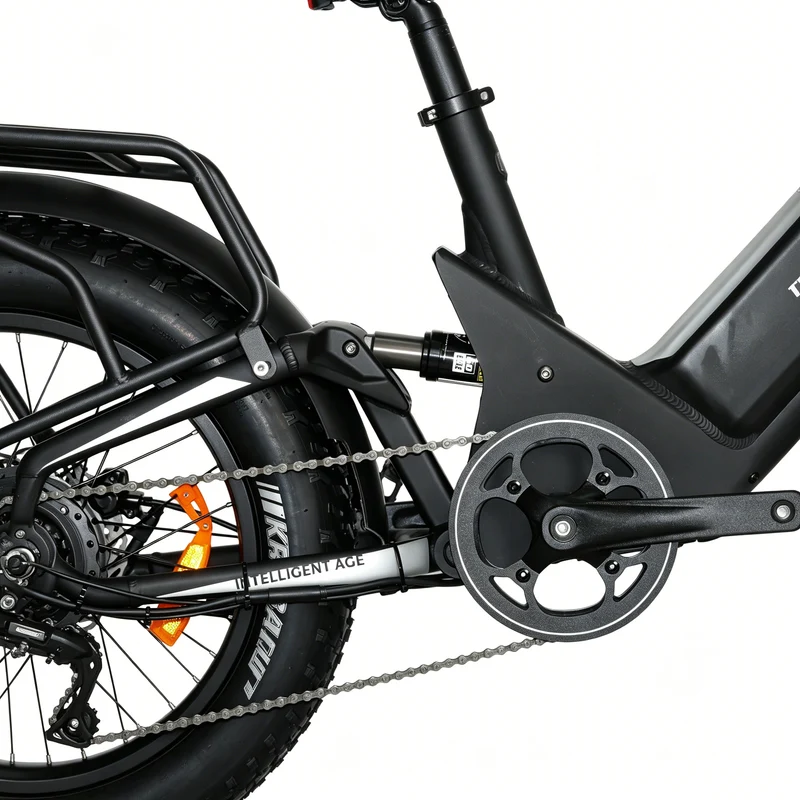 BAOLUJIE P4 DP 2011 24" Elektrisches Mountainbike 2000W Motor 48V 20Ah Batterie