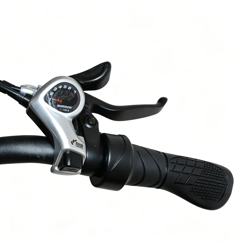 BAOLUJIE BLJ D7 20" Faltbares Elektrofahrrad 500W Motor 48V 12Ah Batterie