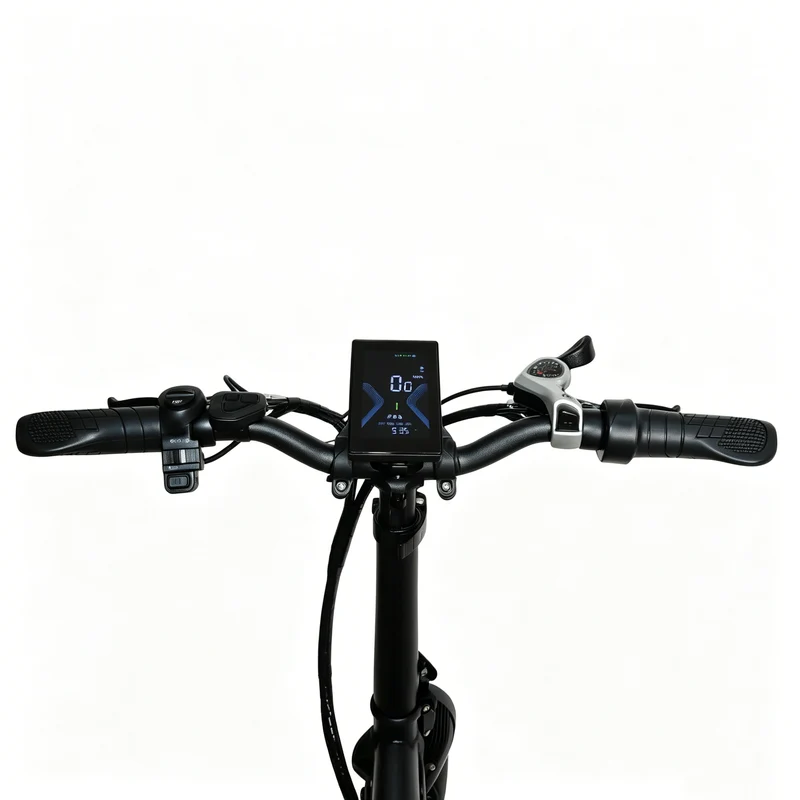 BAOLUJIE BLJ D7 20" Faltbares Elektrofahrrad 500W Motor 48V 12Ah Batterie