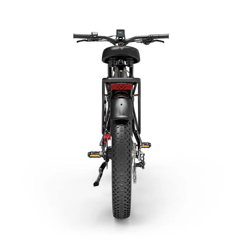 LANKELEISI MG800MAX VAE tout-terrain 26″ 2*1000W Motor 48V 20Ah Batterie