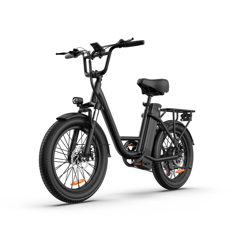 URLIFE E20 20” Tiefeinsteiger-Elektrofahrrad 250W Motor 48V 13Ah Batterie (EU edition)