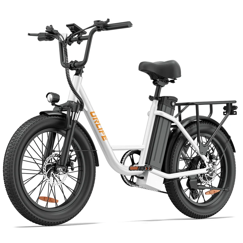 URLIFE E20 20” Tiefeinsteiger-Elektrofahrrad 250W Motor 48V 13Ah Batterie (EU edition)
