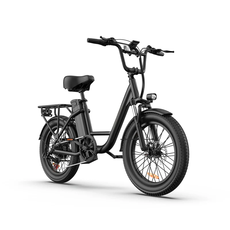 URLIFE E20 20” Tiefeinsteiger-Elektrofahrrad 250W Motor 48V 13Ah Batterie (EU edition)
