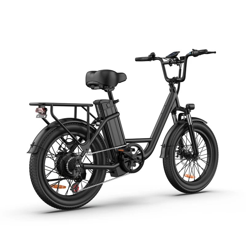 URLIFE E20 20” Tiefeinsteiger-Elektrofahrrad 250W Motor 48V 13Ah Batterie (EU edition)