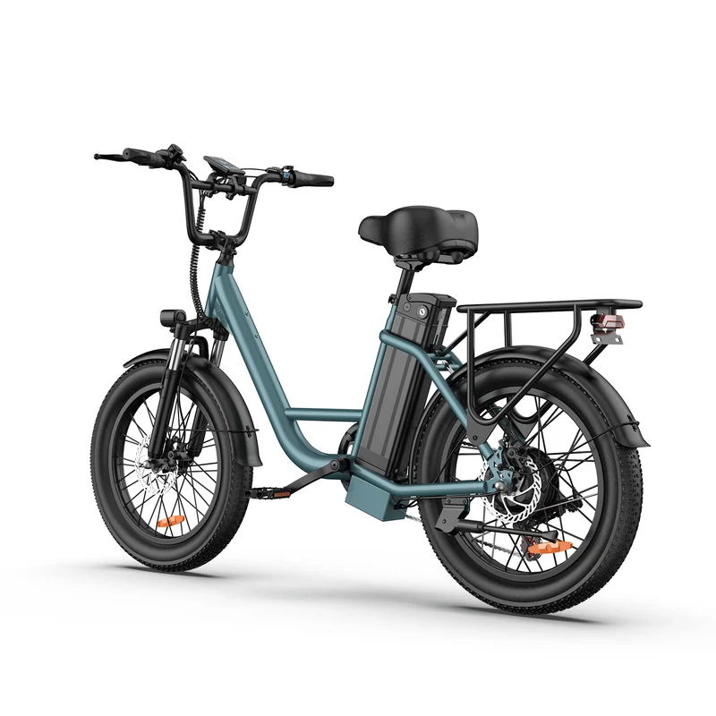 URLIFE E20 20” Tiefeinsteiger-Elektrofahrrad 250W Motor 48V 13Ah Batterie (EU edition)