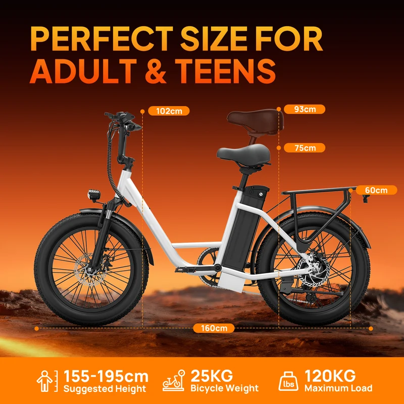 URLIFE E20 20” Tiefeinsteiger-Elektrofahrrad 250W Motor 48V 13Ah Batterie (EU edition)
