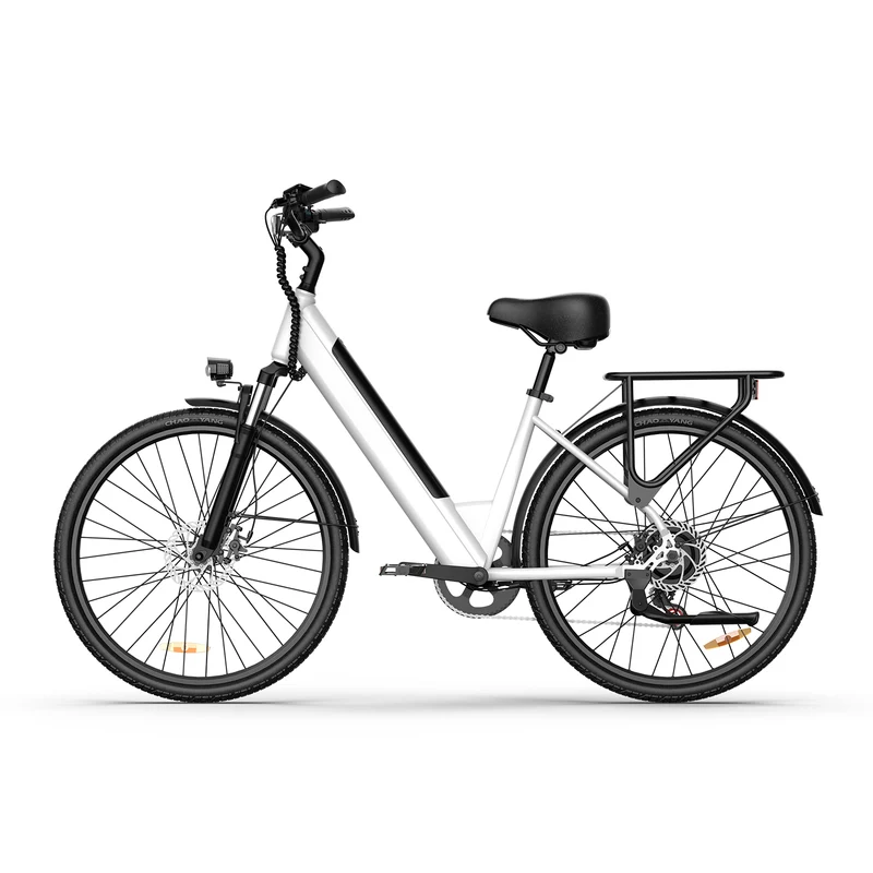 URLIFE E26 26” Tiefeinsteiger-Elektrofahrrad 1500W Motor 36V 13Ah Batterie (EU edition)