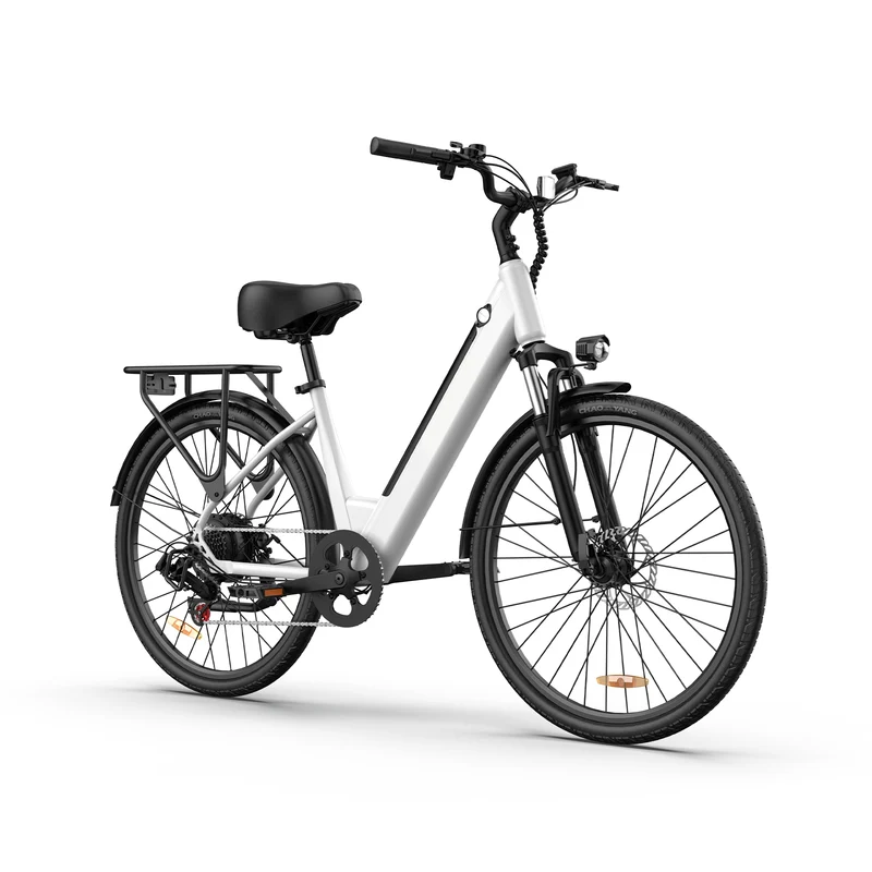 URLIFE E26 26” Tiefeinsteiger-Elektrofahrrad 1500W Motor 36V 13Ah Batterie (EU edition)