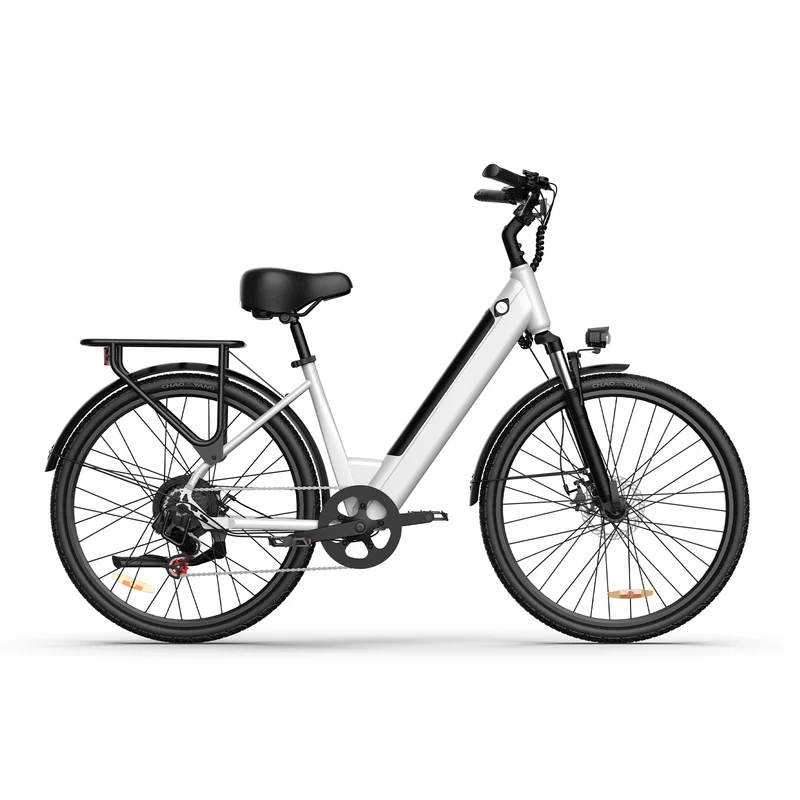 URLIFE E26 26” Tiefeinsteiger-Elektrofahrrad 1500W Motor 36V 13Ah Batterie (EU edition)