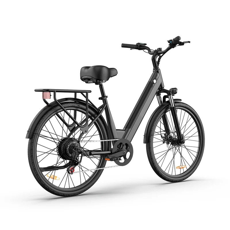 URLIFE E26 26” Tiefeinsteiger-Elektrofahrrad 1500W Motor 36V 13Ah Batterie (EU edition)