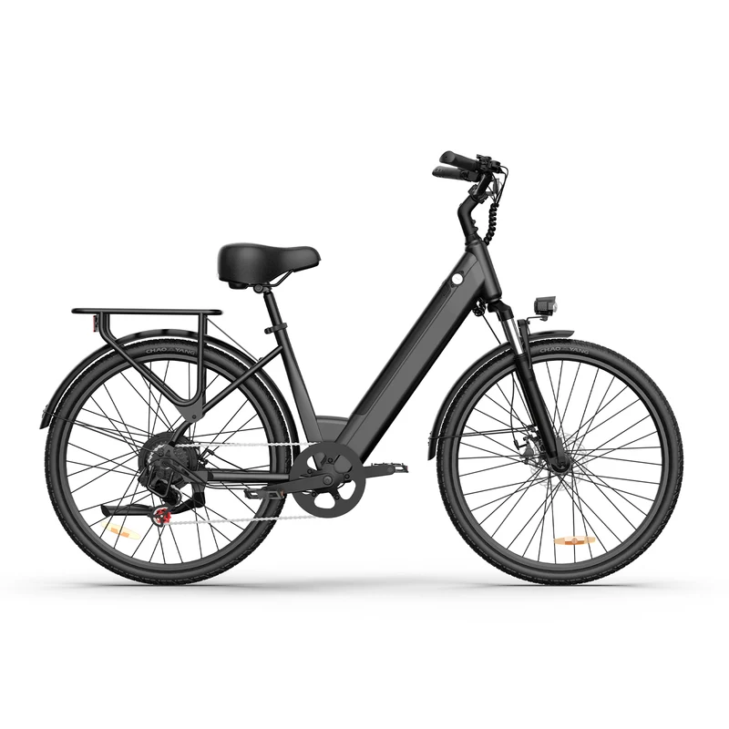 URLIFE E26 26” Tiefeinsteiger-Elektrofahrrad 1500W Motor 36V 13Ah Batterie (EU edition)