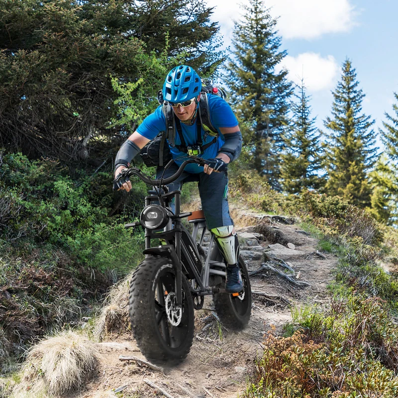 JANSNO X50 20" Fat Tires Elektrofahrräder 750W Motor 48V 14Ah Batterie