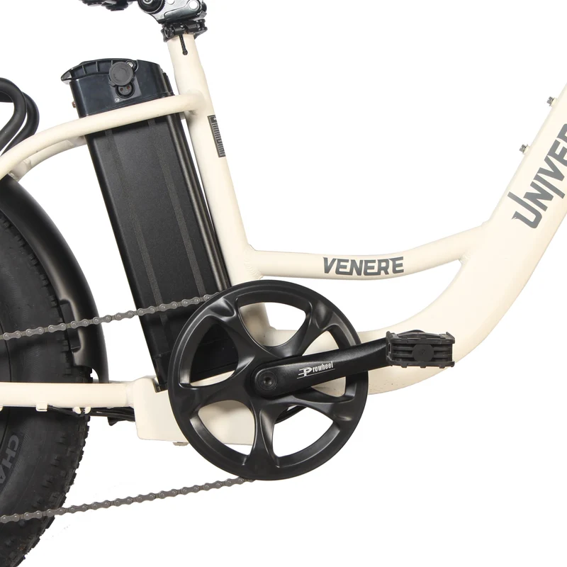 UNIVERCYCLE B5 20" E-Bike Tiefeinsteiger 500W Motor 48V 13Ah Batterie