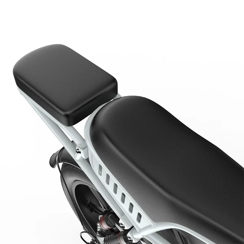 PIXAR M9 20" Fat Tire Elektrofahrrad 250W Motor 48V 35Ah Batterie