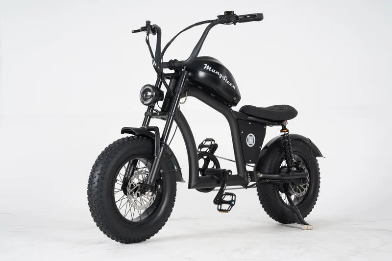 Mangosteen FT02 Mini E-Bike