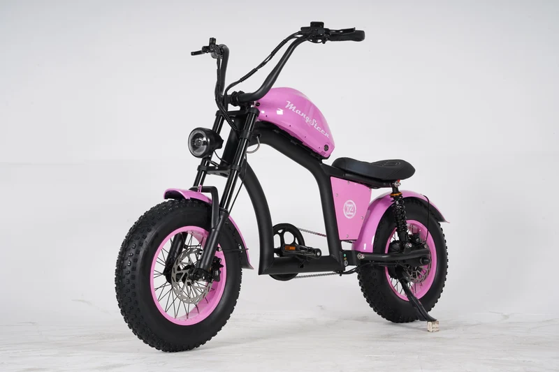 Mangosteen FT02 Mini E-Bike